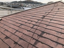 名張市 屋根カバー工法 施工前