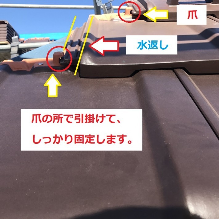 ⑤⑤
