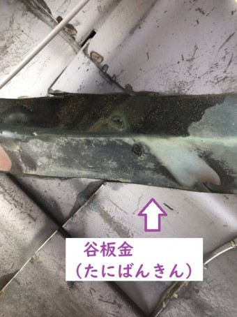 名張市 谷板金 雨漏り