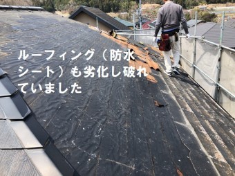 破れ防水シート