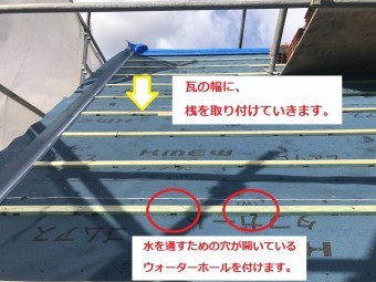 野地2