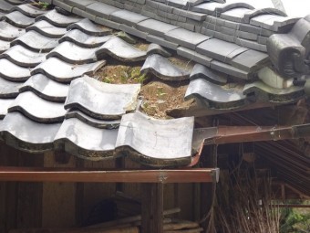 ずれた瓦