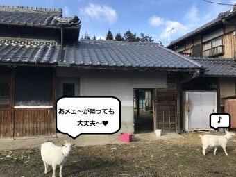 名張市 屋根工事完成全体写真