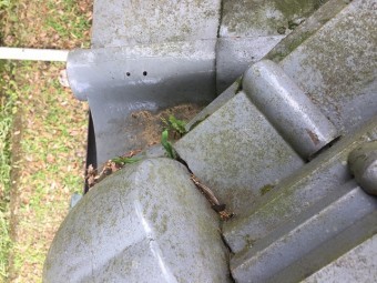 IMG_2329-columns2