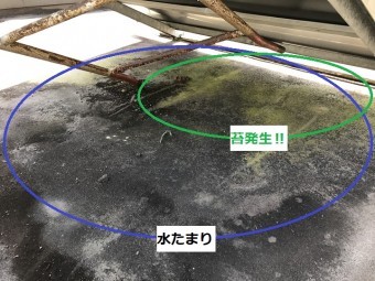 伊賀市 陸屋根に苔が生える