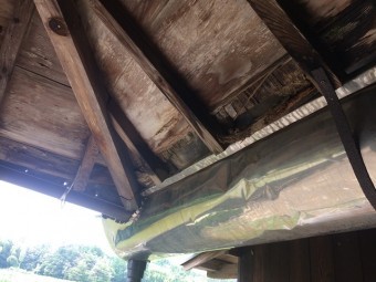 IMG_3224-columns2