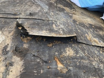 伊賀市 徳永邸大屋根ルーフィング損傷写真