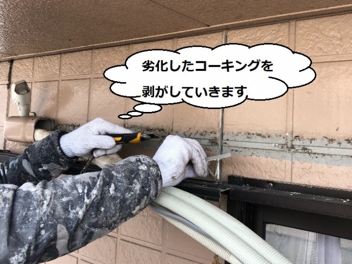 目地 剥がす