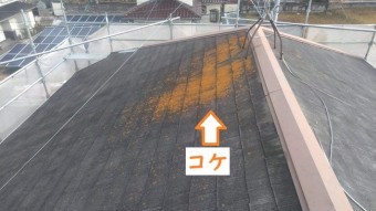名張市 スレート屋根 コケ