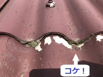 伊賀市 スレート屋根 コケ