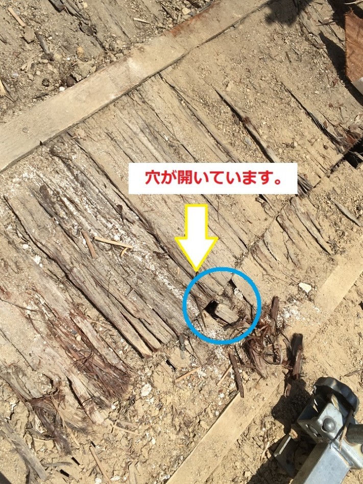 杉皮 瓦降ろし