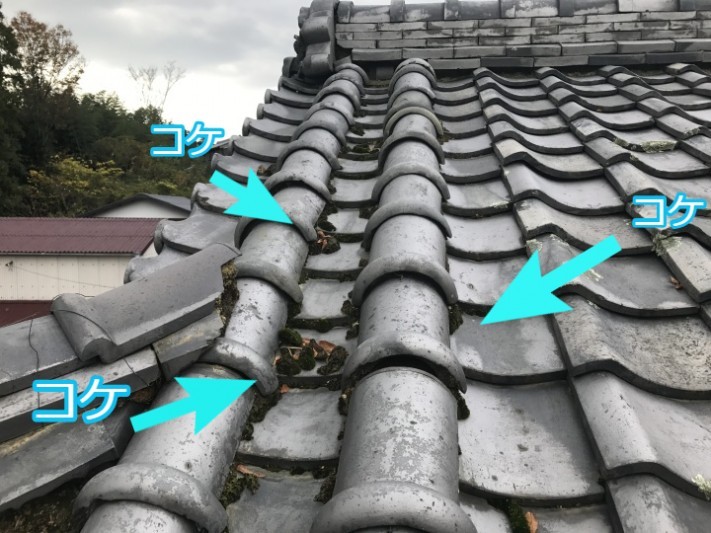 伊賀市 丸流し 苔が生えている