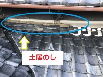 下見 土居のし