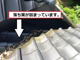落ち葉 詰まり