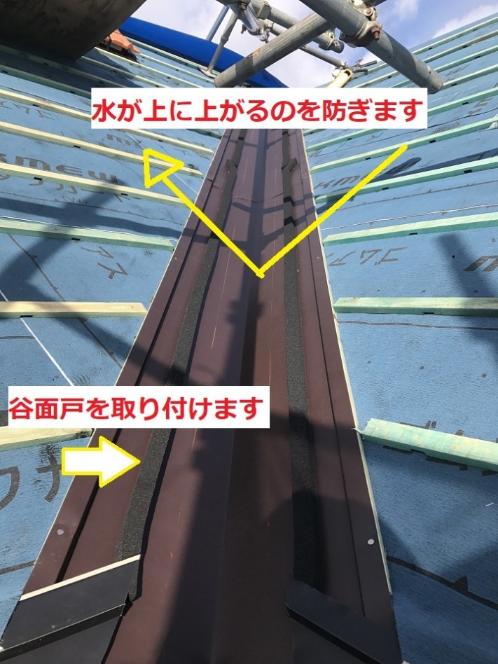③ 33