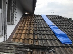 応急処置 雨漏り