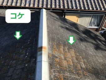 伊賀市 金属ルーフ 苔