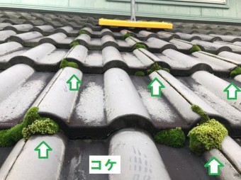名張市 瓦屋根 コケ