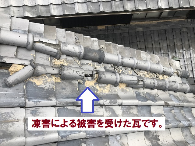 凍害で割れた紐丸瓦