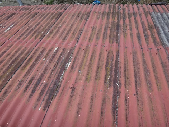 伊賀市工場スレート屋根に苔の畑