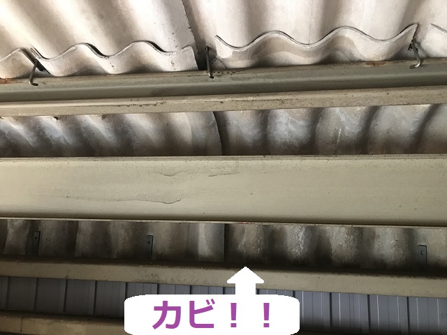 伊賀市　倉庫の屋根　カビ