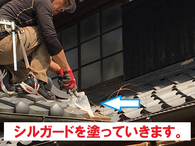 シルガード施工の様子