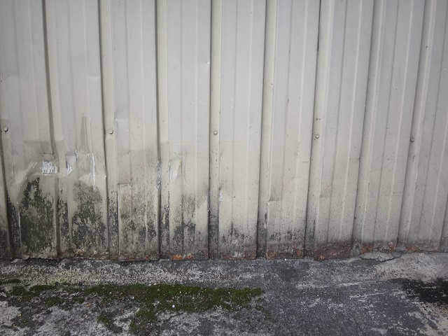伊賀市工場外壁トタンに錆と苔