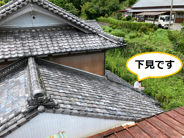 伊賀市で雨漏りしている瓦屋根の下見に行くと草が生えていました 名張 伊賀で屋根のお手入れ 修理なら街の屋根やさんにご相談下さい