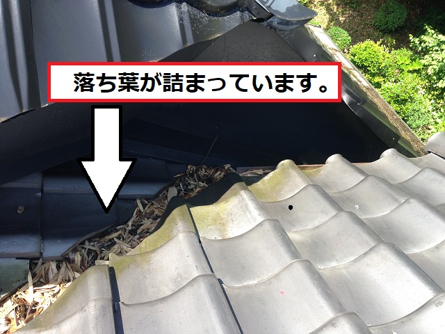 谷に詰まった落ち葉