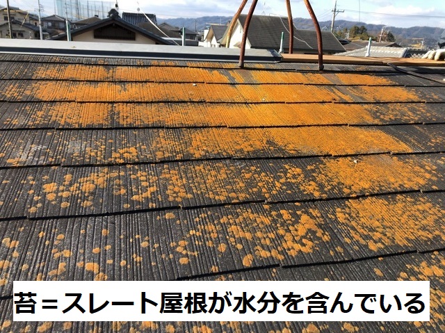 名張市　スレート屋根　黄色い苔
