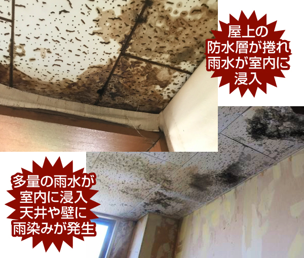 屋上の防水層が捲れ雨水が室内に多量に浸入し、天井や壁に雨染みが発生ています